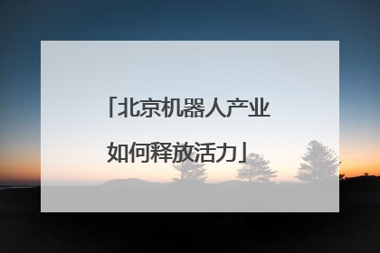 北京机器人产业如何释放活力