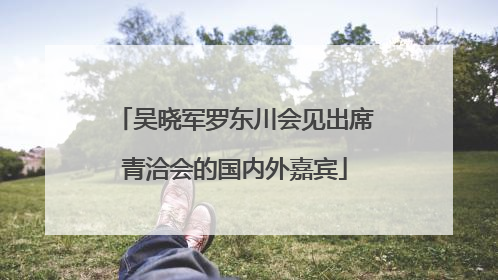 吴晓军罗东川会见出席青洽会的国内外嘉宾