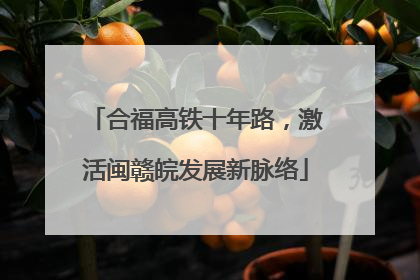 合福高铁十年路，激活闽赣皖发展新脉络
