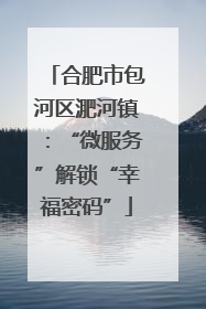 合肥市包河区淝河镇：“微服务”解锁“幸福密码”