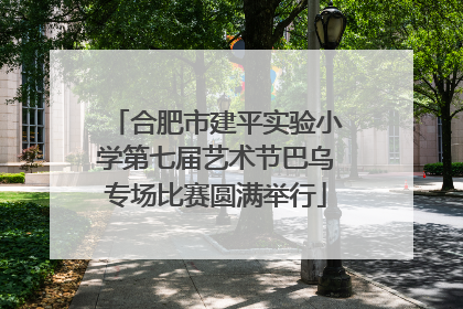 合肥市建平实验小学第七届艺术节巴乌专场比赛圆满举行