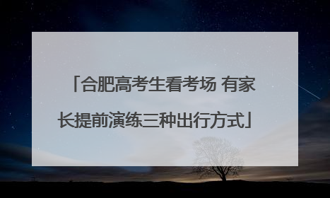 合肥高考生看考场 有家长提前演练三种出行方式