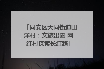 同安区大同街道田洋村：文旅出圈 网红村探索长红路