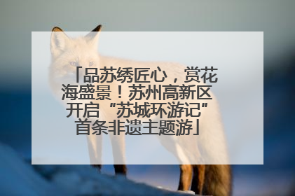 品苏绣匠心，赏花海盛景！苏州高新区开启“苏城环游记”首条非遗主题游