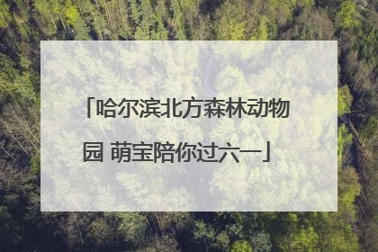 哈尔滨北方森林动物园 萌宝陪你过六一