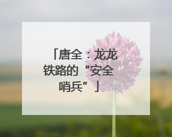 唐全：龙龙铁路的“安全哨兵”