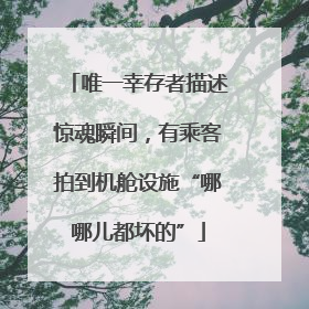 唯一幸存者描述惊魂瞬间，有乘客拍到机舱设施“哪哪儿都坏的”