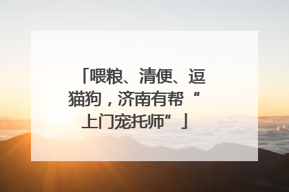 喂粮、清便、逗猫狗，济南有帮“上门宠托师”