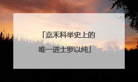 嘉禾科举史上的唯一进士罗以纯