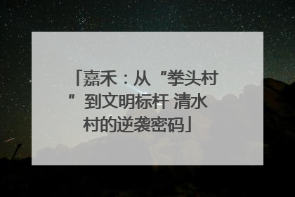嘉禾：从“拳头村”到文明标杆 清水村的逆袭密码