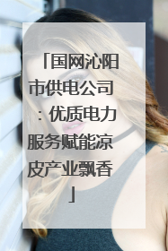 国网沁阳市供电公司：优质电力服务赋能凉皮产业飘香