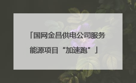 国网金昌供电公司服务能源项目“加速跑”
