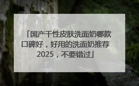 国产干性皮肤洗面奶哪款口碑好，好用的洗面奶推荐2025，不要错过