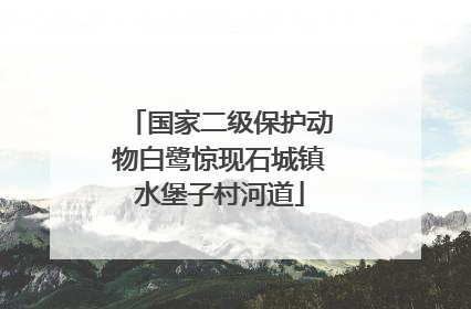 国家二级保护动物白鹭惊现石城镇水堡子村河道