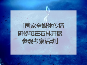 国家全媒体传播研修班在石林开展参观考察活动