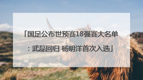 国足公布世预赛18强赛大名单：武磊回归 杨明洋首次入选