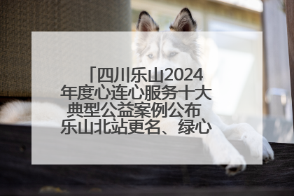 四川乐山2024年度心连心服务十大典型公益案例公布 乐山北站更名、绿心路井盖治理等上榜