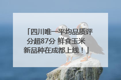 四川唯一平均品质评分超87分 鲜食玉米新品种在成都上线！
