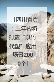 四川宜宾：三年内将打造“以竹代塑”应用场景2000个