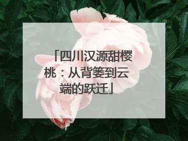 四川汉源甜樱桃：从背篓到云端的跃迁