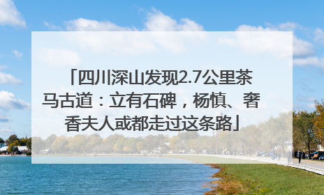 四川深山发现2.7公里茶马古道：立有石碑，杨慎、奢香夫人或都走过这条路