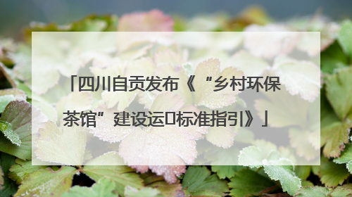 四川自贡发布《“乡村环保茶馆”建设运⾏标准指引》