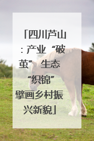 四川芦山：产业“破茧” 生态“织锦” 擘画乡村振兴新貌