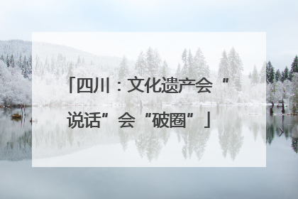 四川：文化遗产会“说话”会“破圈”