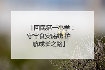 回民第一小学：守牢食安底线 护航成长之路