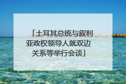 土耳其总统与叙利亚政权领导人就双边关系等举行会谈