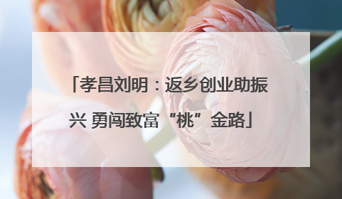 孝昌刘明：返乡创业助振兴 勇闯致富“桃”金路