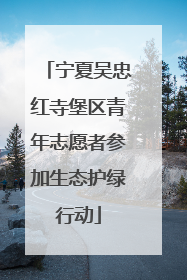 宁夏吴忠红寺堡区青年志愿者参加生态护绿行动