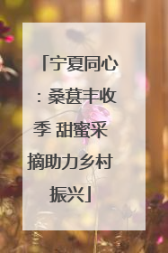 宁夏同心：桑葚丰收季 甜蜜采摘助力乡村振兴