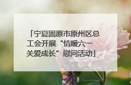 宁夏固原市原州区总工会开展“情暖六一 关爱成长”慰问活动