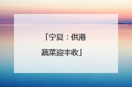 宁夏：供港蔬菜迎丰收