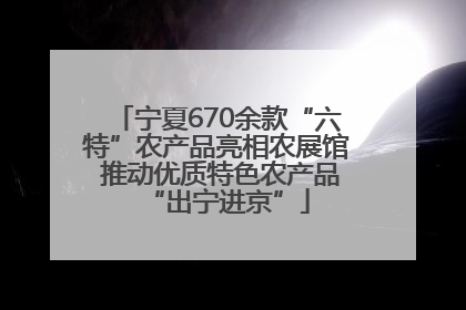 宁夏670余款“六特”农产品亮相农展馆 推动优质特色农产品“出宁进京”