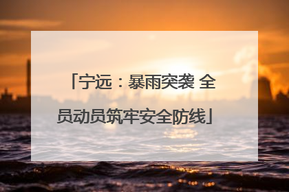 宁远：暴雨突袭 全员动员筑牢安全防线