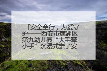 安全童行，为爱守护——西安市莲湖区第九幼儿园“大手牵小手”沉浸式亲子安全体验活动