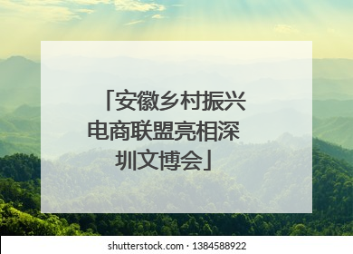 安徽乡村振兴电商联盟亮相深圳文博会