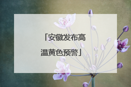 安徽发布高温黄色预警