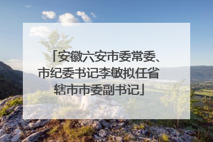 安徽六安市委常委、市纪委书记李敏拟任省辖市市委副书记