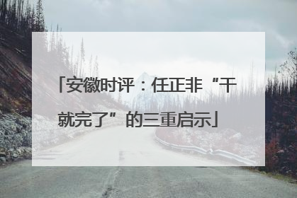 安徽时评：任正非“干就完了”的三重启示