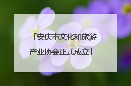 安庆市文化和旅游产业协会正式成立
