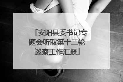 安阳县委书记专题会听取第十二轮巡察工作汇报