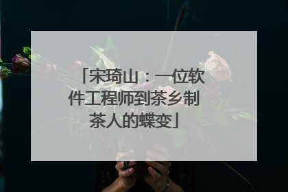 宋琦山：一位软件工程师到茶乡制茶人的蝶变