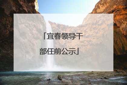 宜春领导干部任前公示