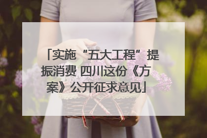 实施“五大工程”提振消费 四川这份《方案》公开征求意见