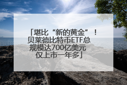 堪比“新的黄金”！贝莱德比特币ETF总规模达700亿美元 仅上市一年多