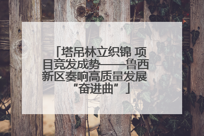 塔吊林立织锦 项目竞发成势——鲁西新区奏响高质量发展“奋进曲”