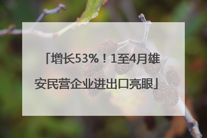 增长53%！1至4月雄安民营企业进出口亮眼